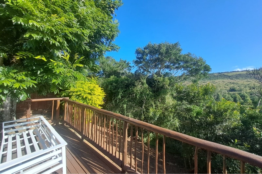 To Let 3 Bedroom Property for Rent in Abbotsford Eastern Cape